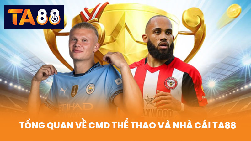 CMD Thể Thao Cá Cược Uy Tín Tỷ Lệ Cao Tại Nhà Cái TA88 2 Tổng Quan Về CMD Thể Thao Và Nhà Cái TA88