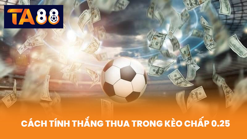 Kèo Chấp 0.25 Là Gì Cách Tính Thắng Thua Chuẩn Xác Nhất 3 Cách Tính Thắng Thua Trong Kèo Chấp 0.25