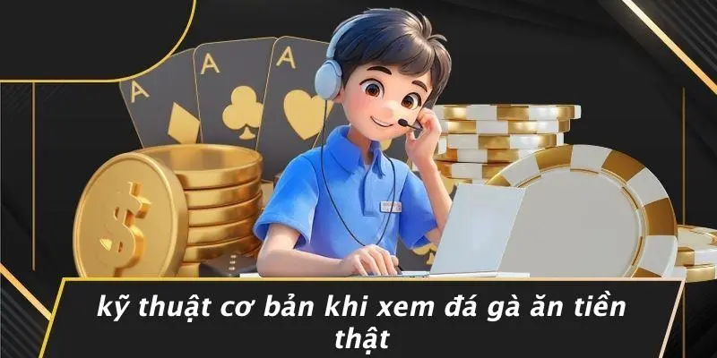 ĐÁ GÀ ĂN TIỀN THẬT: HƯỚNG DẪN CHI TIẾT BÍ QUYẾT THẮNG LỚN 3 Kỹ Thuật Cơ Bản Khi Xem Đá Gà Ăn Tiền Thật
