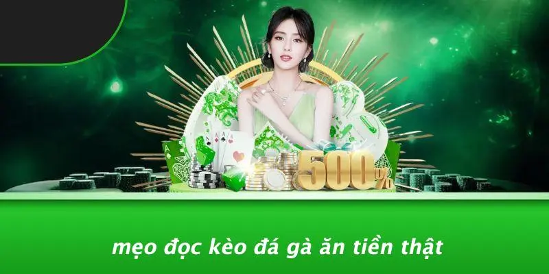 ĐÁ GÀ ĂN TIỀN THẬT: HƯỚNG DẪN CHI TIẾT BÍ QUYẾT THẮNG LỚN 4 Mẹo Đọc Kèo Đá Gà Ăn Tiền Thật