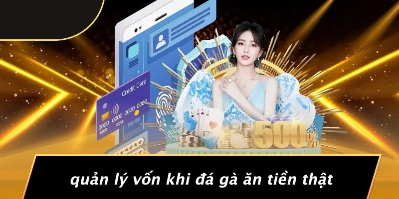 ĐÁ GÀ ĂN TIỀN THẬT: HƯỚNG DẪN CHI TIẾT BÍ QUYẾT THẮNG LỚN 5 Quản Lý Vốn Khi Đá Gà Ăn Tiền Thật